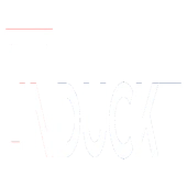 Induckt Growth Accelerator Private Limited