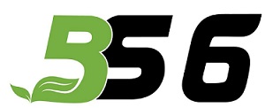 Bs 6 ( Logo) Device mark 4483981 Trademark