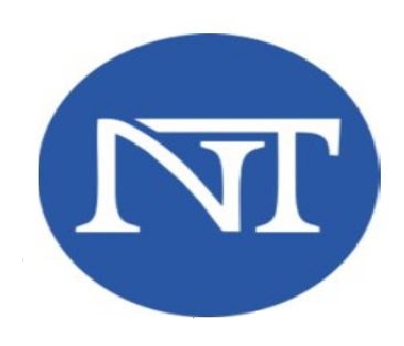 N & T Device mark 4503412 Trademark