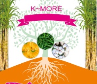 K-more Device mark 4503801 Trademark