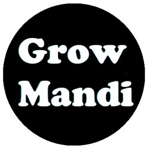 Grow Mandi Device mark 4508197 Trademark
