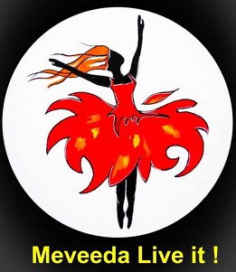 Meveeda Live It! Device mark 4517151 Trademark