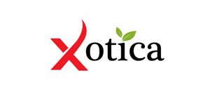 Xotica Device mark 4515873 Trademark