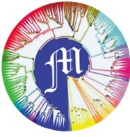 M (logo) Device mark 4520492 Trademark