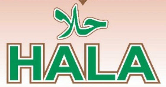 Hala Device mark 4531635 Trademark