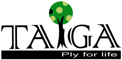 Taiga Device mark 4538070 Trademark