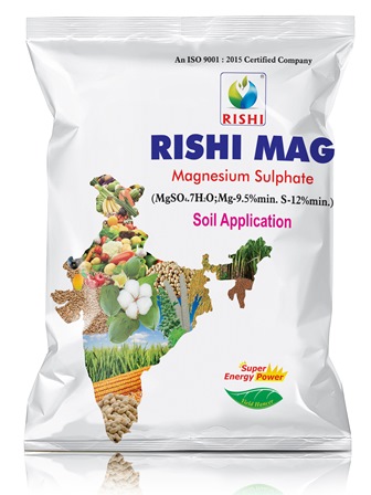 Rishi Mag Device mark 4546530 Trademark