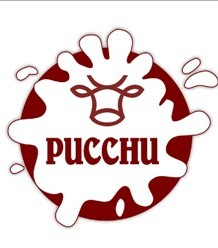 Pucchu Device mark 4551644 Trademark