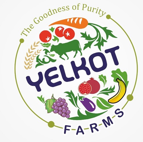 Yelkot Farms - The Goodness Of Purity Device mark 4554427 Trademark