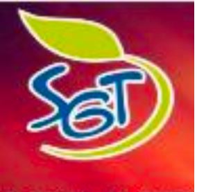 Sgt Logo Device mark 4557064 Trademark