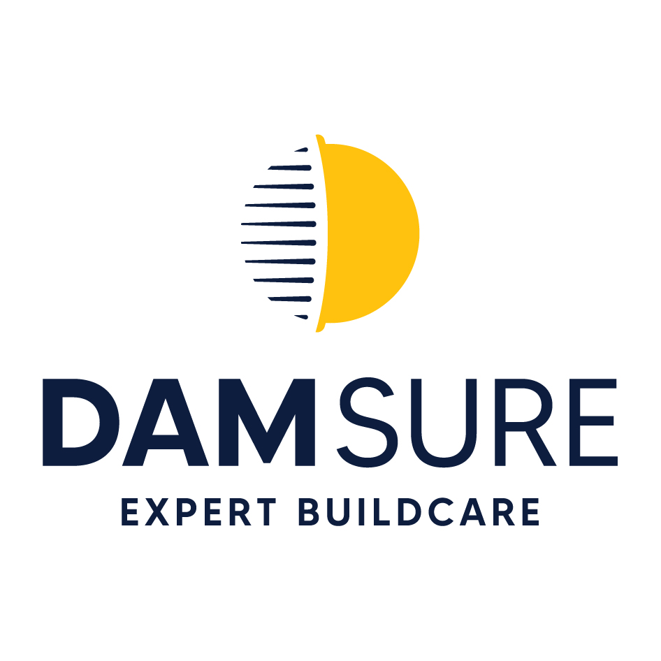 Damsure Device mark 4561216 Trademark