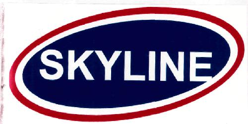 Skyline Device mark 4577624 Trademark