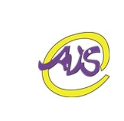 Avs Device mark 4569870 Trademark