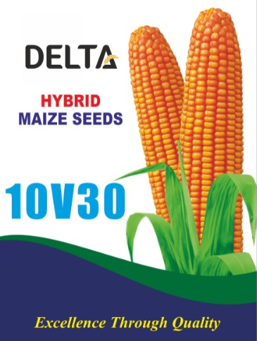 Delta 10v30 (device) Device mark 4574349 Trademark