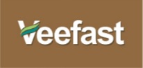 Veefast Device mark 4571249 Trademark