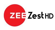Zee Zest Hd Device mark 4593022 Trademark