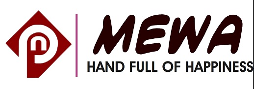 Pn Mewa Device mark 4593255 Trademark