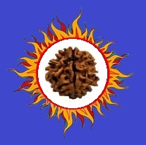 Device Of Sun Device mark 2789861 Trademark