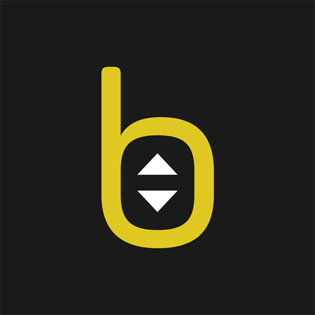 B Device mark 4599419 Trademark