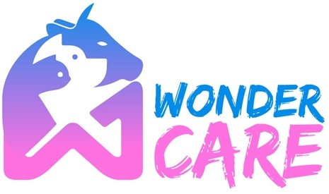 Wonder Care Device mark 4601551 Trademark