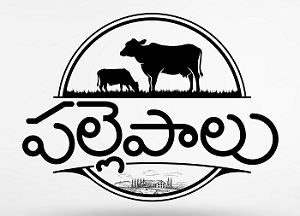 Palle Device mark 4605646 Trademark