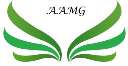 Aamg Device mark 4613029 Trademark