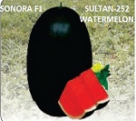 Sonora F1 Sultan-252 Watermelon Device mark 4624356 Trademark