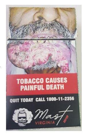 Mast Virginia Device mark 4643741 Trademark