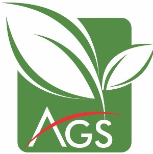 Ags Device mark 4643881 Trademark