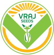 Vraj Seeds Device mark 4649233 Trademark