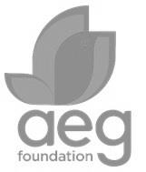 Aeg Foundation Device mark 4661977 Trademark