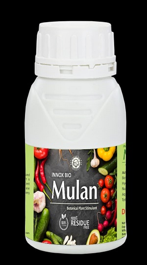 Mulan Device mark 4654200 Trademark