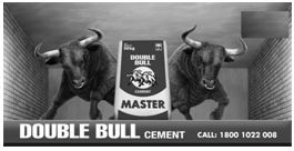 Double Bull Cement Master Visual Device mark 4658645 Trademark