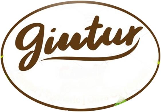 Gintur Device mark 4656294 Trademark