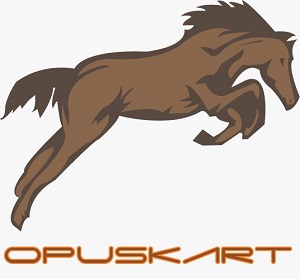 Opuskart Device mark 4675148 Trademark
