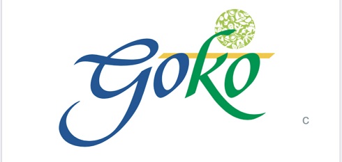 Goko Device mark 4675403 Trademark