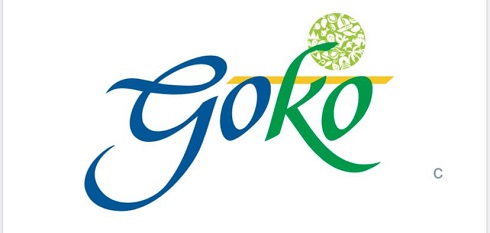 Goko Device mark 4675407 Trademark