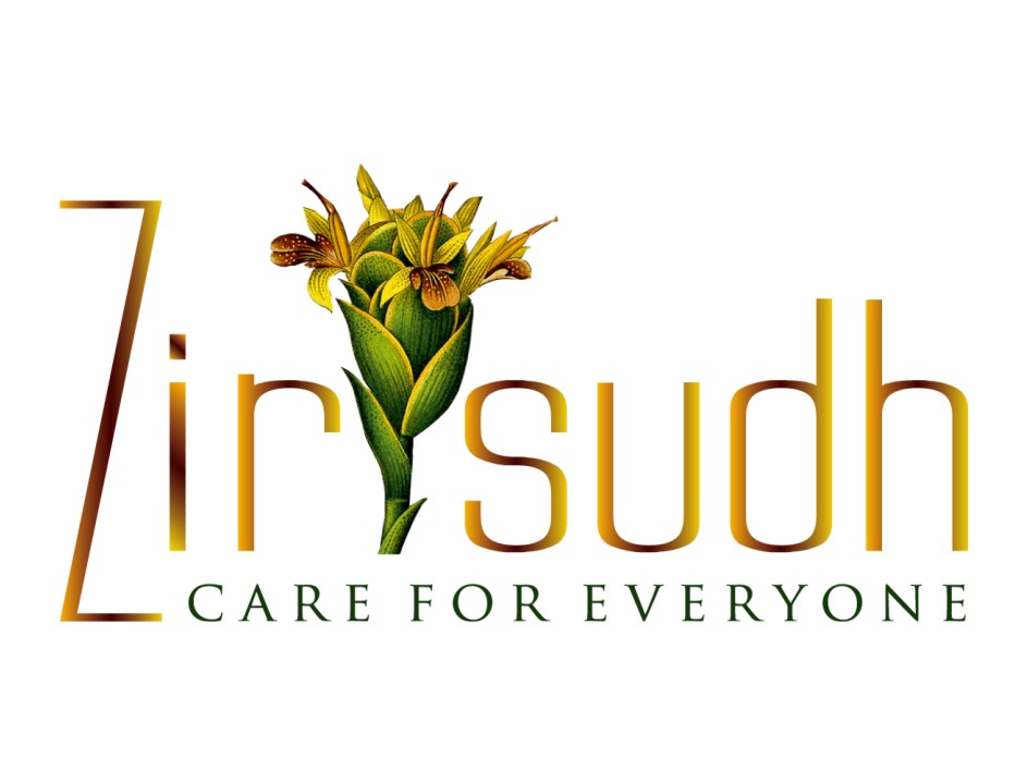 Zirsudh Device mark 4703992 Trademark