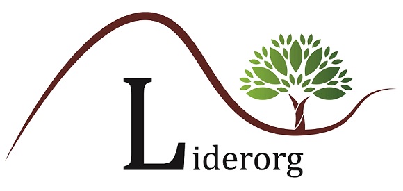 Liderorg Device mark 4708751 Trademark