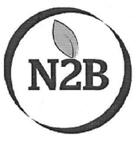 N2b Device mark 4711857 Trademark