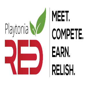 Device Mark Device mark 4739409 Trademark