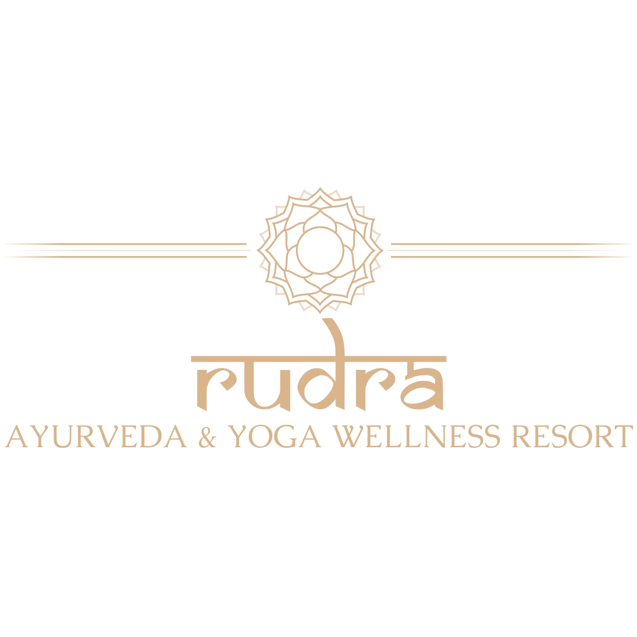 Rudra Device mark 4750987 Trademark
