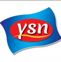 Ysn Device mark 4762833 Trademark
