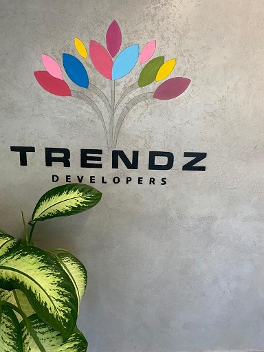 Trendz Developers Device mark 4764300 Trademark