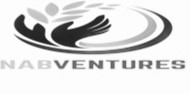 Nabventures Device mark 4768054 Trademark