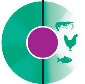 Device Device mark 4783630 Trademark