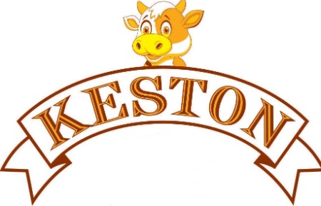 Keston Device mark 4785355 Trademark