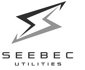 Seebec Device mark 4801242 Trademark