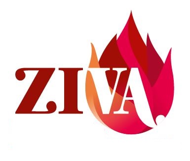 Ziva Device mark 4805946 Trademark