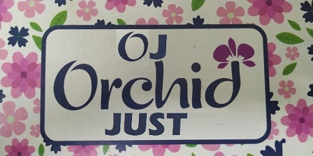 Oj Orchidjust Device mark 4806585 Trademark